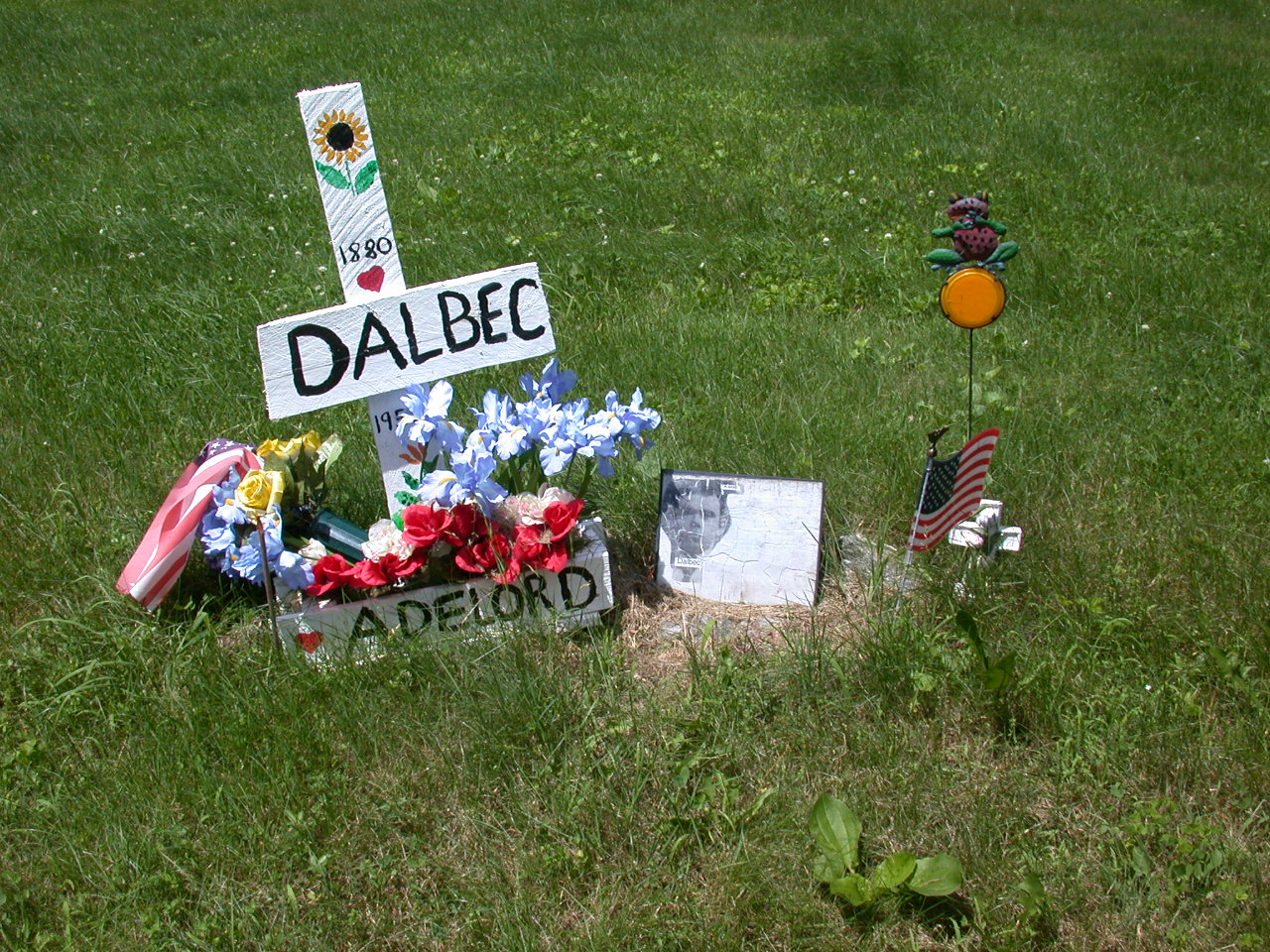 Click Here To See a Larger Picture