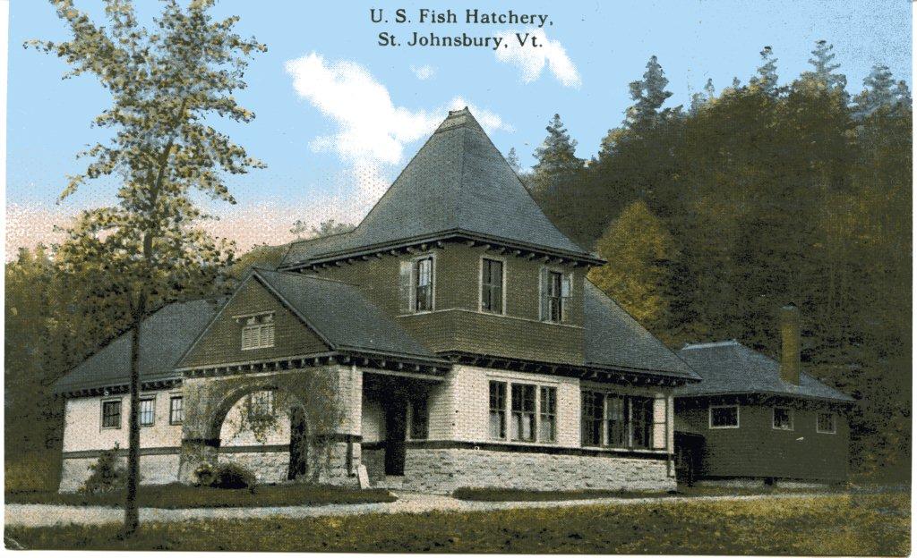 Fish Hatchery