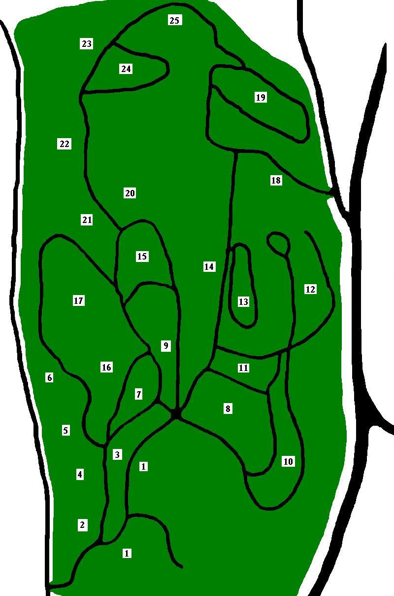 Cemetery Map